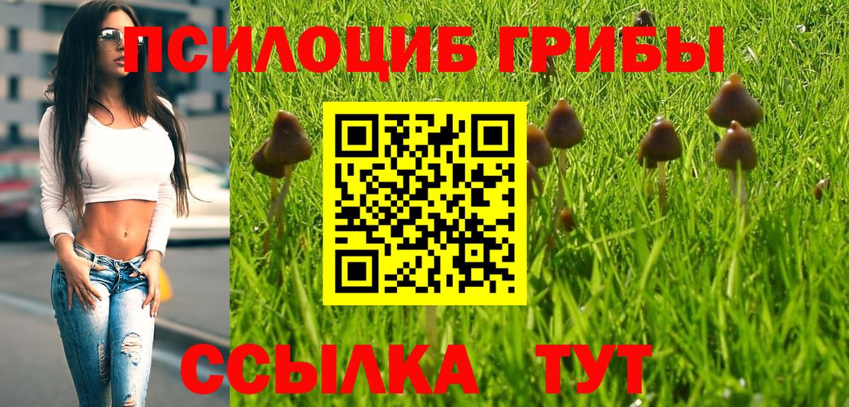 Псилоцибиновые грибы прущие грибы Белая Калитва
